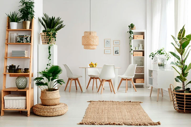 Công dụng của cây xanh